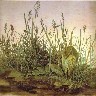 Albrecht Durer. The Large Turf. 1503. Watercolour and gouache on paper. Graphische Sammlung Albertina, Vienna,.jpg (44478 bytes)