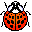 insects25.gif