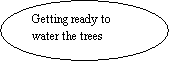 Oval: Getting ready to water the trees