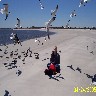 Bird girl.JPG (433243 bytes)