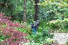 Exploring Sandy's Garden.JPG (1451415 bytes)