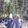Lost in the woods.JPG (1436471 bytes)