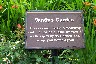 Plaque in Sandy's Garden.JPG (1101311 bytes)
