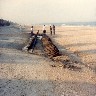 Ponte Vedra Shipwreck008.jpg (92267 bytes)