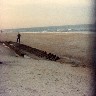Ponte Vedra Shipwreck009.jpg (83589 bytes)