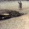 Ponte Vedra Shipwreck013.jpg (92241 bytes)