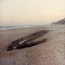 Ponte Vedra Shipwreck016.jpg (68440 bytes)