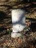 Monument for a Drayman.jpeg (1215206 bytes)