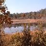 Marsh in Autum.jpg (321498 bytes)