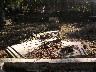 Vandalism in Jax Old City Cemetery.jpeg (1239287 bytes)