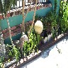 Garden Treasures.jpg (241413 bytes)