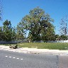 View Across The Street.jpg (206512 bytes)
