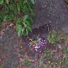 Treasure chest.JPG (739392 bytes)