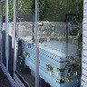 Window display at Casket Store.JPG (755997 bytes)